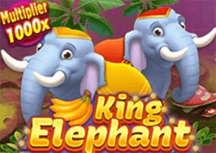 elephant king