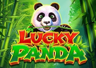 lucky panda