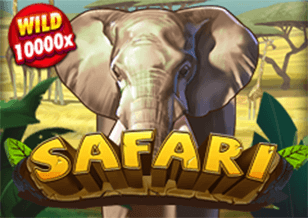 safari
