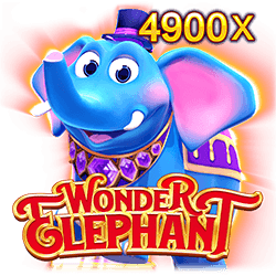 wonder elephant